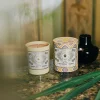 Santa Maria Novella Glass Candles>Acqua della Regina Scented Candle