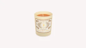 Santa Maria Novella Glass Candles>Acqua della Regina Scented Candle