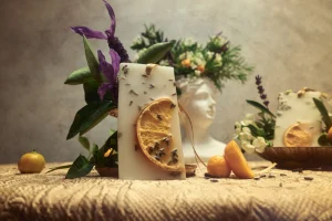Santa Maria Novella Scented Wax Tablets>Acqua della Regina Scented Wax Tablets