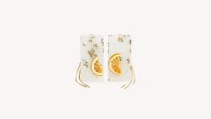Santa Maria Novella Scented Wax Tablets>Acqua della Regina Scented Wax Tablets