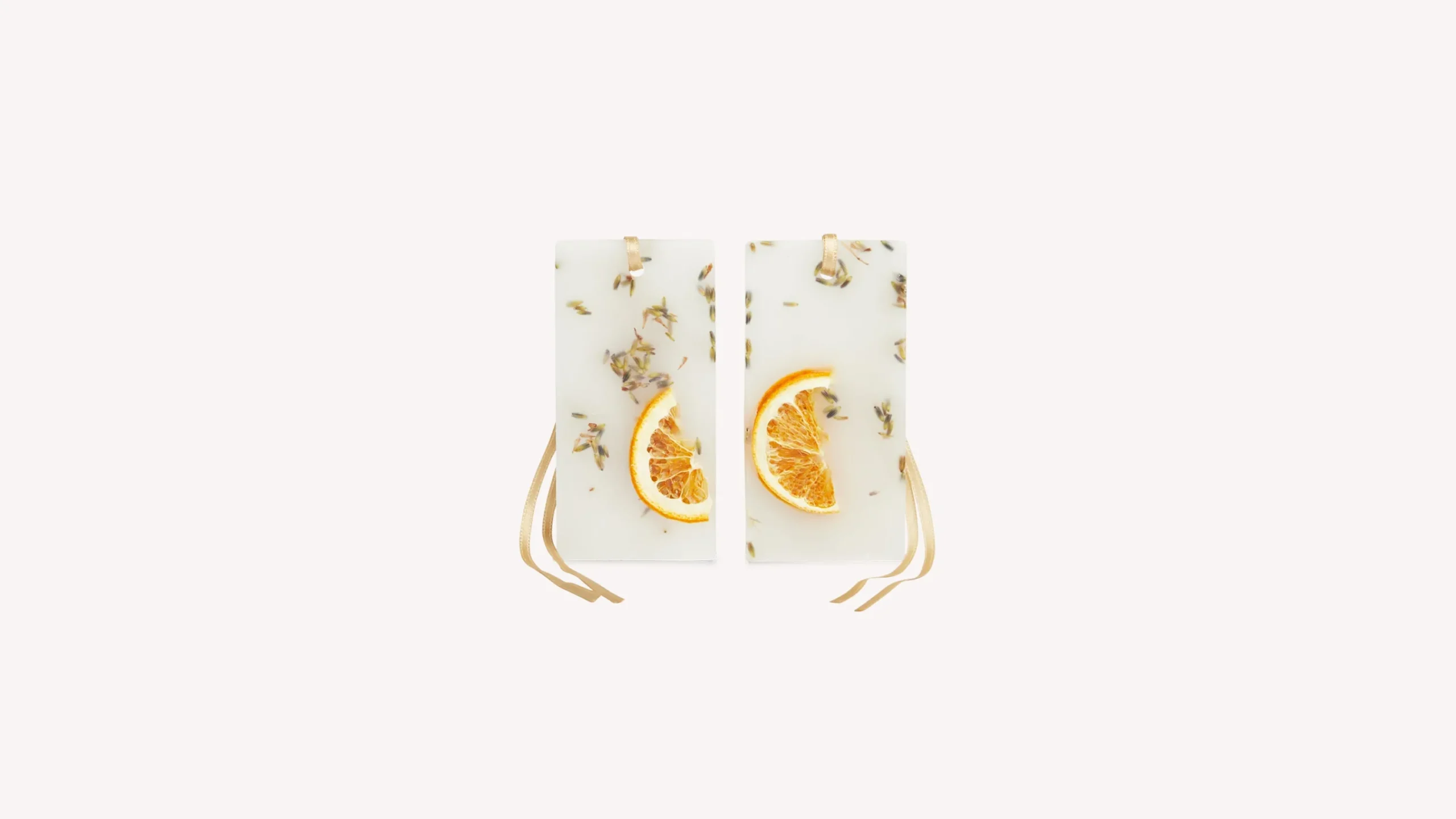 acqua_della_regina_scented_wax_tablets_2.webp Santa Maria Novella Scented Wax Tablets>Acqua della Regina Scented Wax Tablets