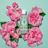 Santa Maria Novella Purifying | Cleansing>Acqua di Rose