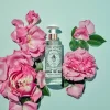Santa Maria Novella Purifying | Cleansing>Acqua di Rose Micellar Water