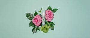 Santa Maria Novella Toning | Purifying>Acqua di Rose Serum