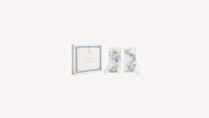 Santa Maria Novella Scented Wax Tablets>Angeli di Firenze Scented Wax Tablets
