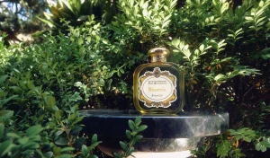 Santa Maria Novella Floral | Eau De Parfum>Bizzarria