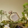Santa Maria Novella Floral | Eau De Cologne>Fresia