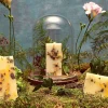 Santa Maria Novella Scented Wax Tablets>Fresia Scented Wax Tablets