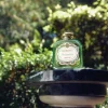 Santa Maria Novella Woody | Floral>Gelsomino