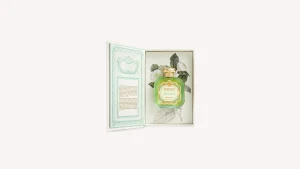 Santa Maria Novella Woody | Floral>Gelsomino
