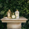 Santa Maria Novella Body Lotions>Gelsomino Fluid Body Cream