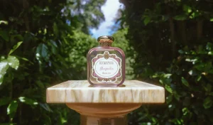 Santa Maria Novella Floral | Eau De Parfum>Magnolia