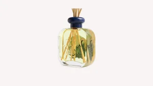 Santa Maria Novella Diffusers>Room Fragrance Diffuser Europa