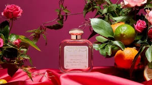 Santa Maria Novella Floral | Eau De Cologne>Rosa Novella